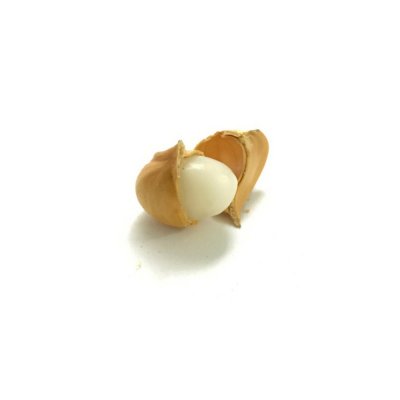 Himalayan Garlic